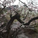 학마을농장 이미지