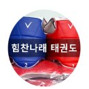 힘찬나래 태권도 이미지