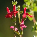 생명의 소리 이미지