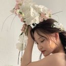 베르베르헤어 | 플라워디렉팅 가성비 스튜디오 웨딩촬영 추천! 베르레브 하프타임 웨딩촬영 후기