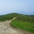 황자비어 이미지