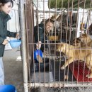 순조농장 이미지