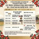 1-50호공원 | 무돌길 회원들과 함께한 강진 봄나들이: 동백꽃과 모란이 흐드러진 하루