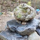 도자농장 이미지