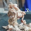 솔향기오리촌 이미지