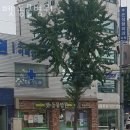 효창동물병원 이미지
