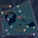 초록도마뱀 | 태국 방콕 자유여행 코스 룸피니공원 산책 코스 교통 도마뱀