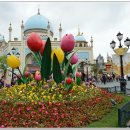 (주)피드에버 이미지