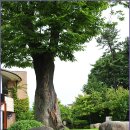 박경리문학공원 이미지