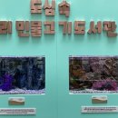 버들치도서관 이미지