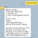 축하하개 이미지