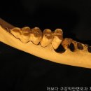 인천치과 더보다 구강악안면외과 치과의원 신뢰할 수 있는 치료진