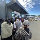 왕마트 | 남섬 첫 왕푸드마켓) 크라이스트처치 혼비 오픈 후기 — 경쟁자 생기니까 뭐가 달라지나 (ft. 오픈 이벤트)