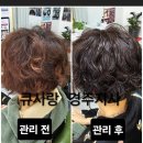 경주동천동 두피.염색 전문점 큐사랑경주지사