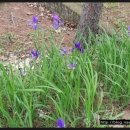 윤희순 동상 이미지