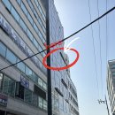 연세그린의원 이미지