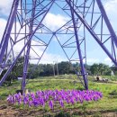 아스타축제 이미지