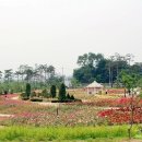 푸른수목원 이미지