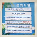 삼익비치아파트  노동조합 | 부산 8월 가볼만한곳 광안리해양레포츠센터 광안리 놀거리 빠지 패들보드 밴드웨건 탑승 후기