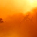 안서농장 이미지