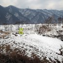 금대리농장 이미지