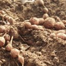 밤이농장 이미지