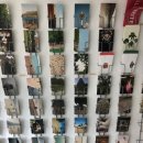 옐로우8호텔 (YELLOW 8 HOTEL) | 샵 투어 코스 추천 🌟 | 원모어백, 테이크마이옐로우, 호텔파리칠, 댄싱그랜마, 올라이트, 파피어...