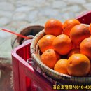 행정사김승호사무소 이미지