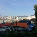 사직공원 유아숲체험원 이미지