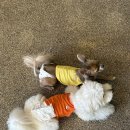 헬로우버디 이미지