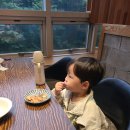 한성상회싱싱뽈락회 | 포항이동맛집 한성상회 싱싱뽈락회 신선한 고등어회