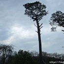 진원당구장 이미지