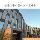 이호방 | 제주여행) 제주 오션뷰 숙소, 신라스테이 플러스 이호테우 후기
