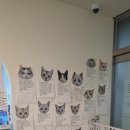 701아를고양이카페(cat in the art) 이미지