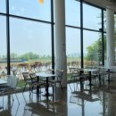 둘리애견 이미지