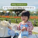 베베숲 크리에이터 6기 | 온가족이 사용하는 비데 물티슈 베베숲 클린비데 물티슈