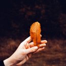 커피가있는풍경 - 남구 솔밭로 37-10 | 커피가있는풍경
