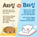 부산애견호텔 강아지유치원 맘바이 사하구점 | 재미있고 신나는 애견유치원 등원 후기 부산사하구강아지유치원
