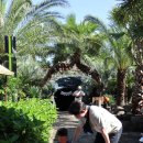 아이로제주 이미지