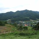 자생초농장 이미지