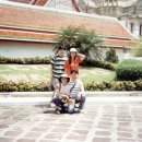 동민농장(2) 이미지