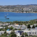 풍차언덕 이미지