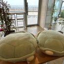 류풀빌라 이미지