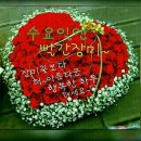 하임 이미지