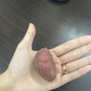 홍루이젠 도담점 | 한놈만 패기