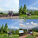 장전로6번길(3-304) | [공지] 경남 합천 골프장 아델스코트cc 1부 라운드 후기 그린피 카트비