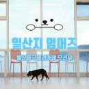 멈머즈 이미지