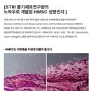 CELGEN 셀젠 극손상헤어팩 탈모완화 줄기세포배양액 두피관리 ⓒ ᴍᴏᴀ sᴛᴏʀʏ