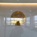 개들의 집 펫살롱 이미지