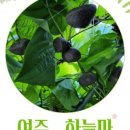 참살이건강원 이미지